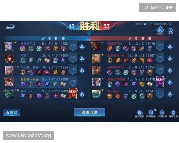 开云综合精简版功能全面解析，满足不同玩家的个性化需求与游戏偏好